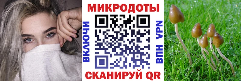 дарнет шоп  Курильск  Псилоцибиновые грибы GOLDEN TEACHER 